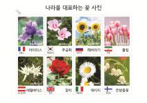 나라를 대표하는 꽃 사진