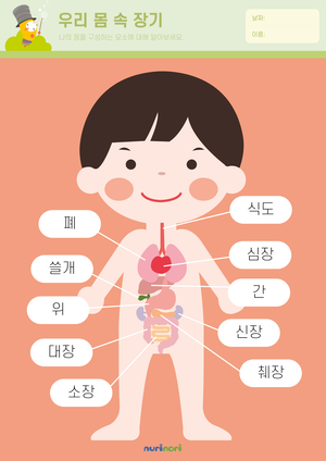 우리 몸 속 장기 (1).png